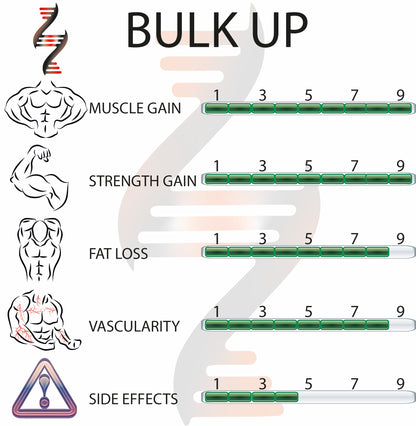 BULK UP 56 Capsules - Bodyreact